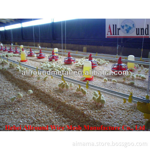 Feeding Pad For Young Chicken